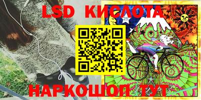 крисы Сланцы