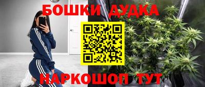 крисы Сланцы