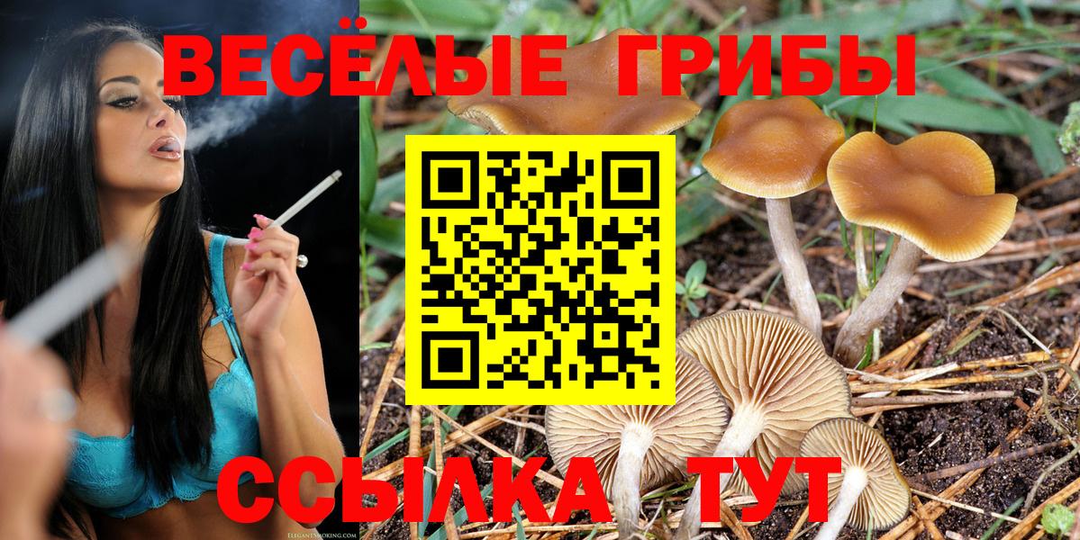 Галлюциногенные грибы Cubensis  Вход с VPN  Приморско-Ахтарск 
