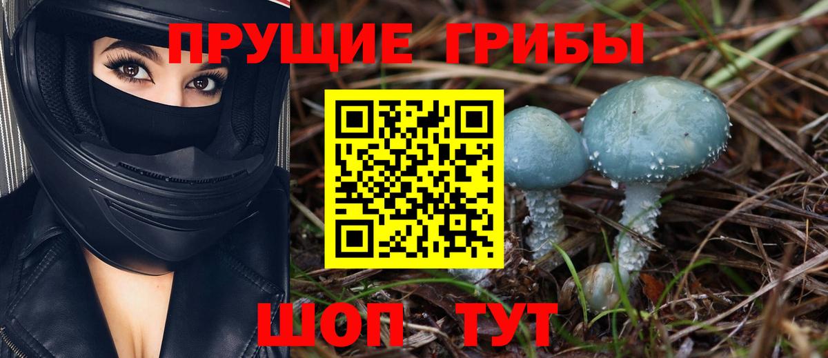 Галлюциногенные грибы прущие грибы Приморско-Ахтарск